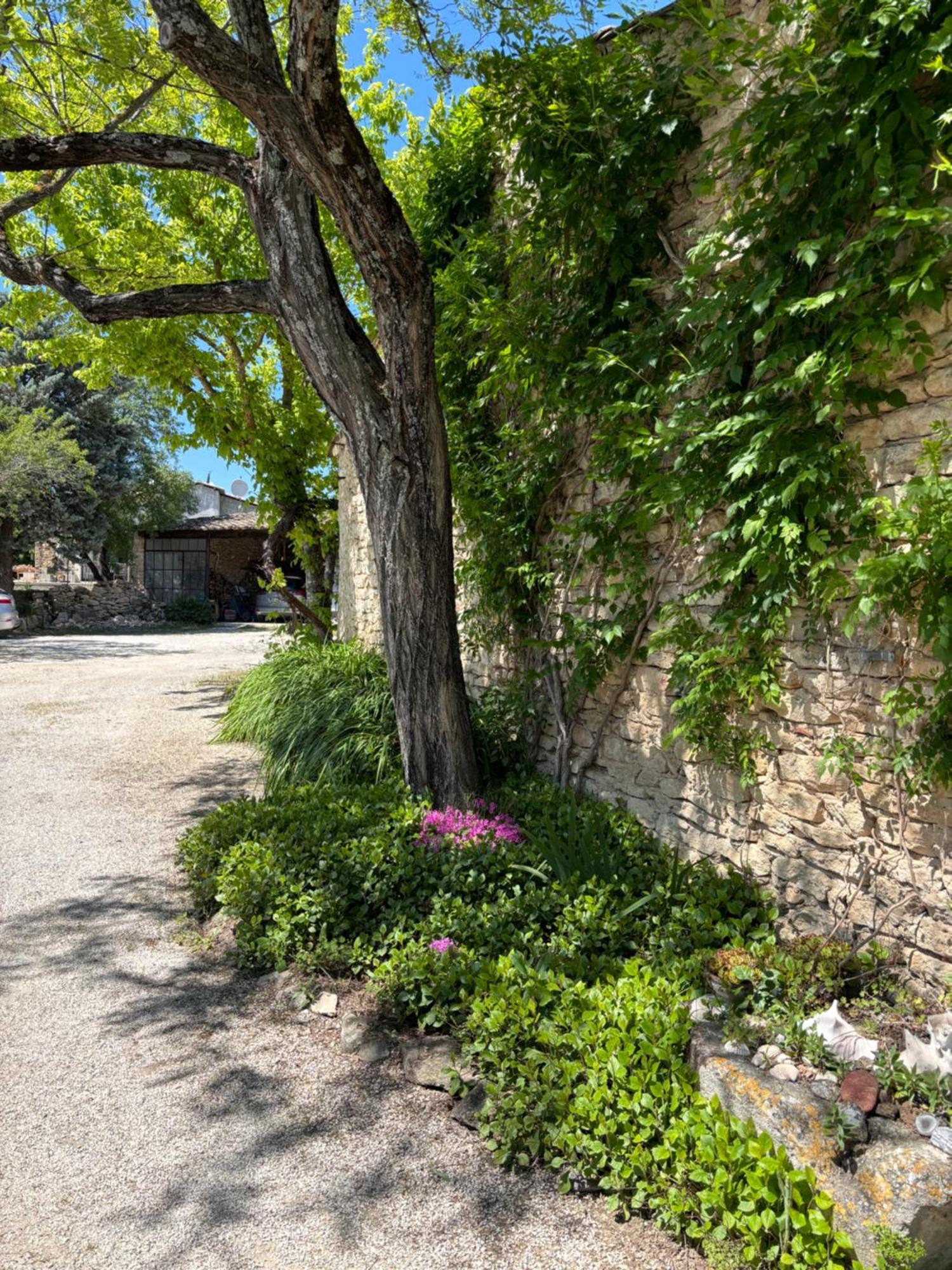 Les Juliens Διαμέρισμα Gordes Εξωτερικό φωτογραφία