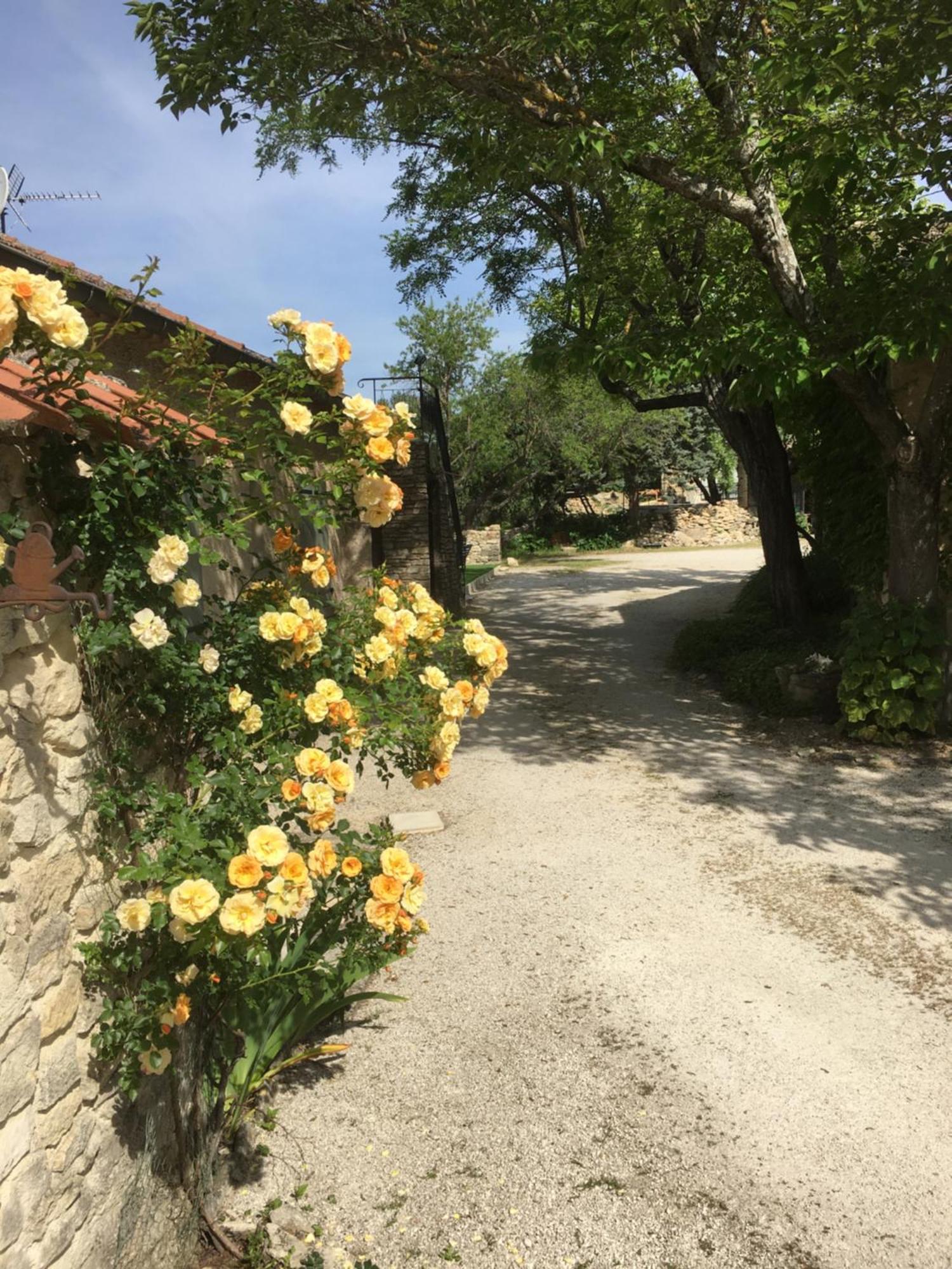 Les Juliens Διαμέρισμα Gordes Εξωτερικό φωτογραφία